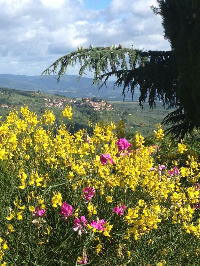 Il Ghiro Hotel Montevarchi Eksteriør billede
